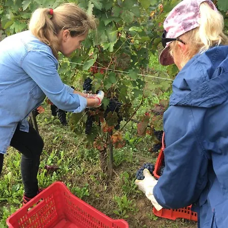 Cascina Del Rosone Appartamento Agliano Terme