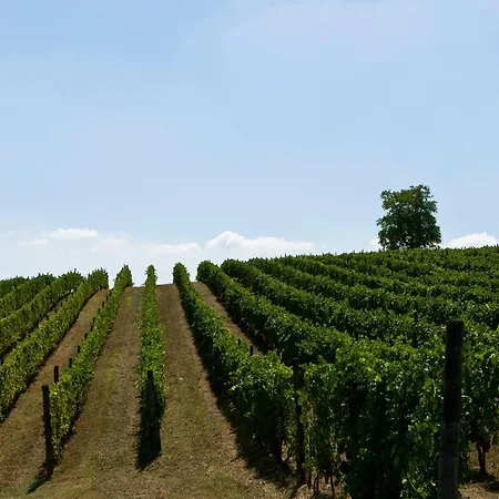 Appartamento Cascina Del Rosone *
