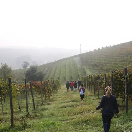 Cascina Del Rosone Appartamento Agliano Terme