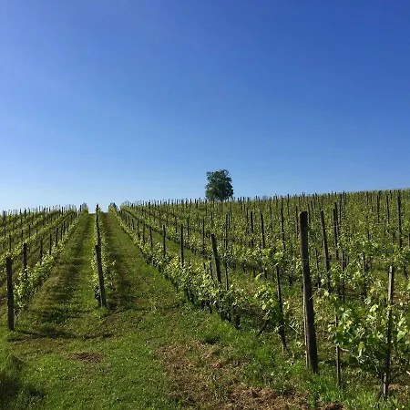 Cascina Del Rosone