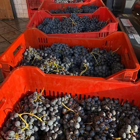 Appartamento Cascina Del Rosone *