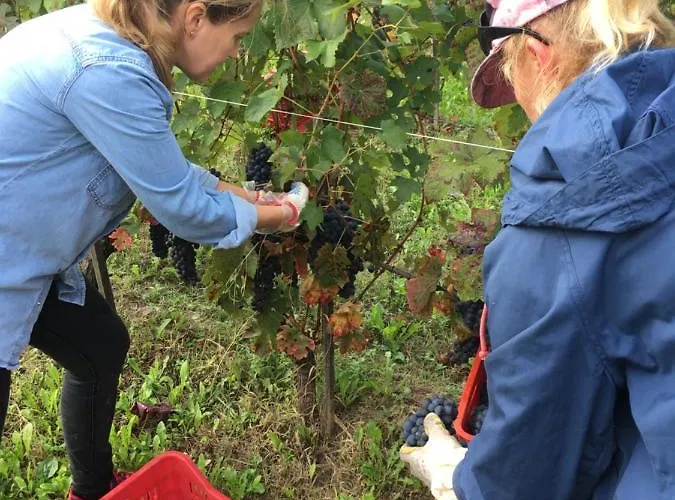 Cascina Del Rosone Appartamento Agliano Terme