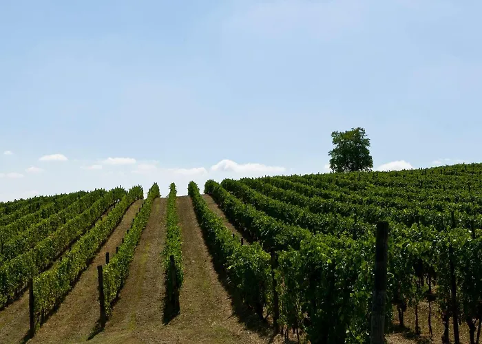 شقة Cascina Del Rosone *