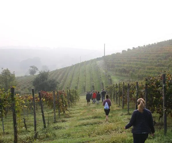 Cascina Del Rosone Appartamento Agliano Terme