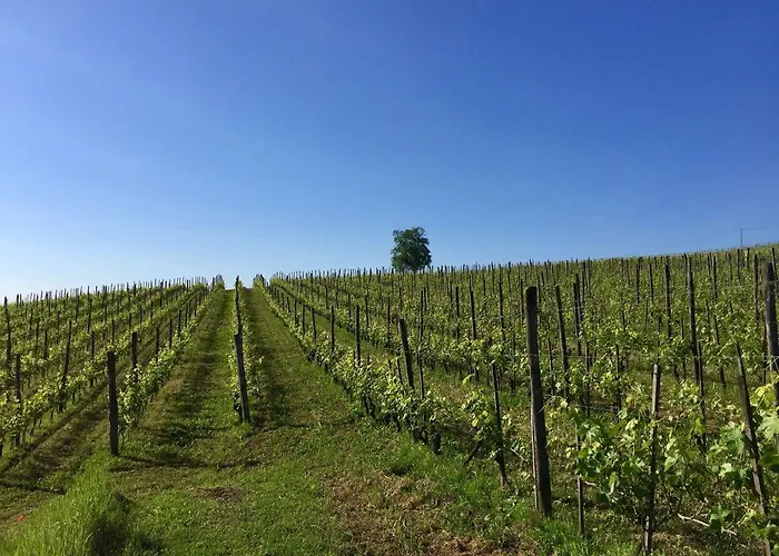 Cascina Del Rosone