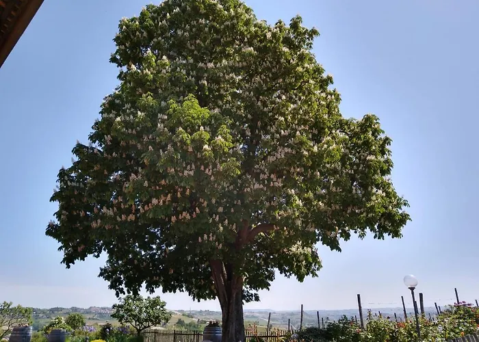 Cascina Del Rosone شقة اجليانو تيرمي
