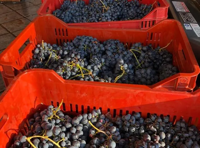 Appartamento Cascina Del Rosone *